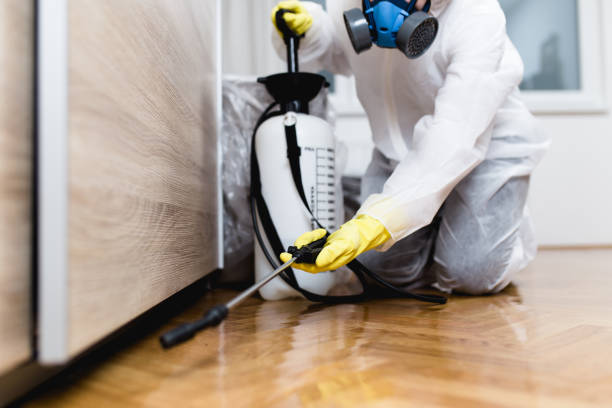 Best Spider Control Near Me  in Gilbert, AZ