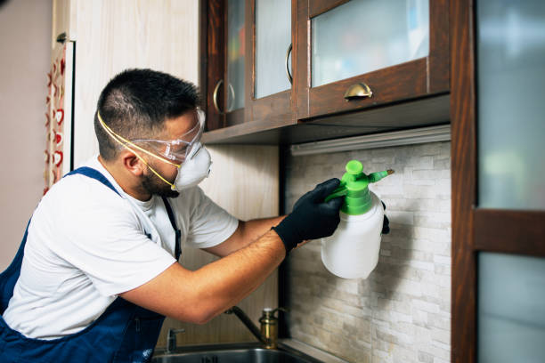 Best Cockroach Control Services  in Gilbert, AZ