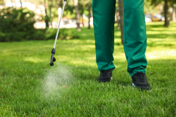 Best Insect Control  in Gilbert, AZ