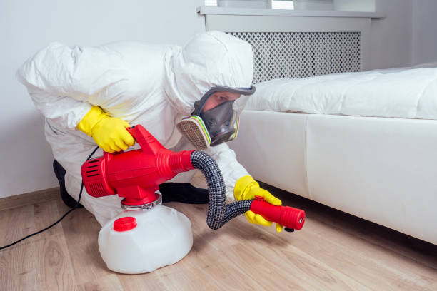Best Affordable Pest Control Services  in Gilbert, AZ