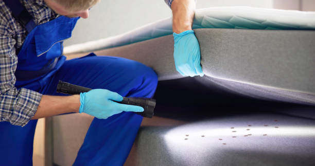  Gilbert, AZ Pest Control Pros
